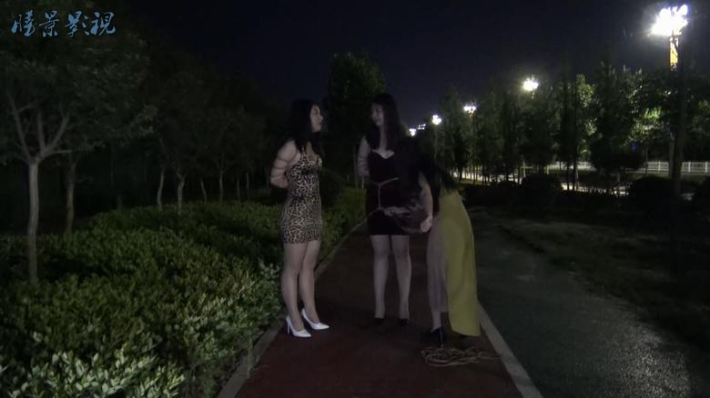 夜景马路捆绑女M玩耍